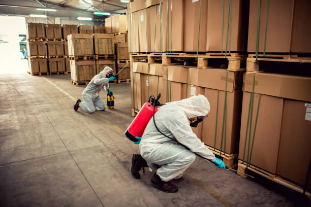 Best Cockroach Control Services  in Gnadenhutten, OH