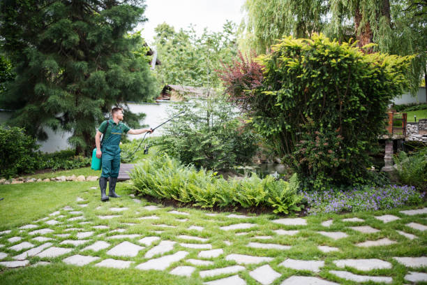 Best Wasp Removal Services  in Gnadenhutten, OH