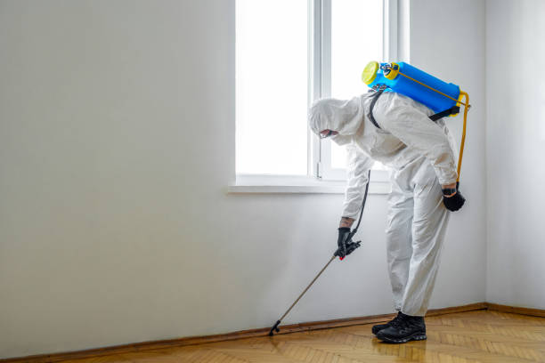 Best Best Pest Control Companies  in Gnadenhutten, OH