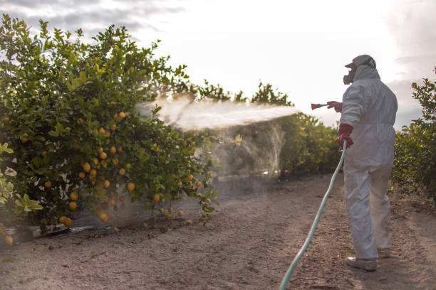 Best Mosquito Control Services  in Gnadenhutten, OH