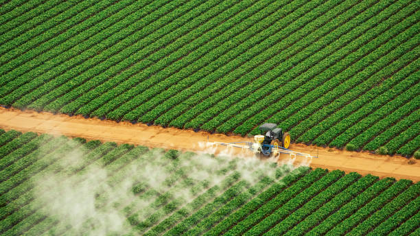 Best Pest Control Cost  in Gnadenhutten, OH