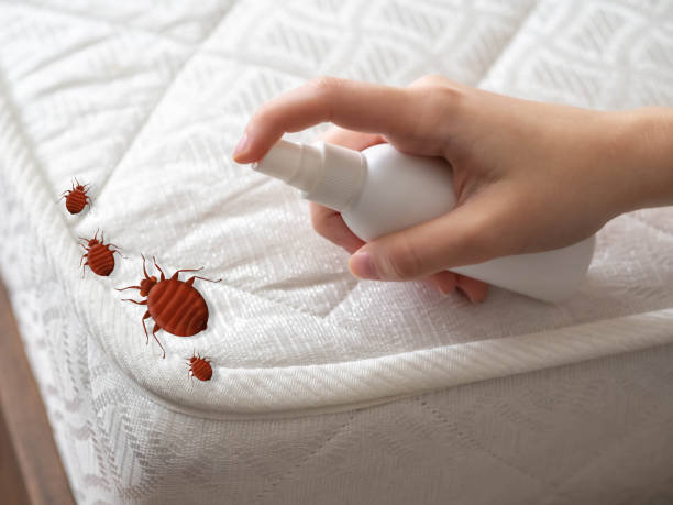 Best Affordable Pest Control Services  in Gnadenhutten, OH
