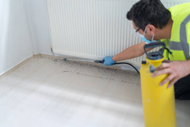 Best Best Pest Control Near Me  in Gnadenhutten, OH