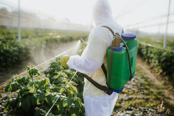 Best Insect Control  in Gnadenhutten, OH
